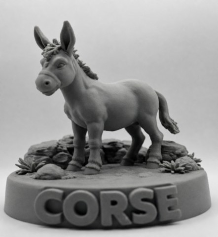 Figurine-corse-ane-corse-cote-2