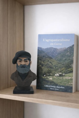 Figurine-corse-Baretta-misgia-situation