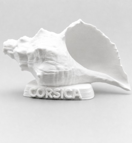 figurine-corse-cornu-marinu-face.jpg