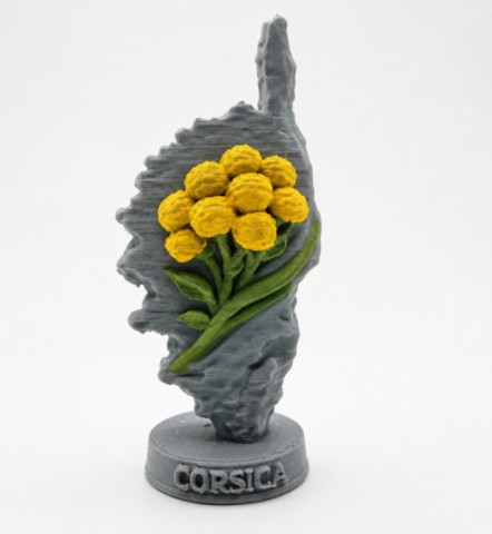 Figurine-corse-corse-immortelle-face