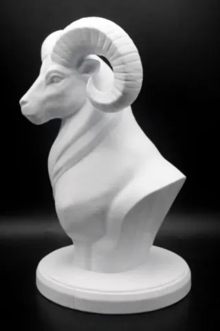 buste-mouflon-corse-u-muvrone-profil-gauche.webp
