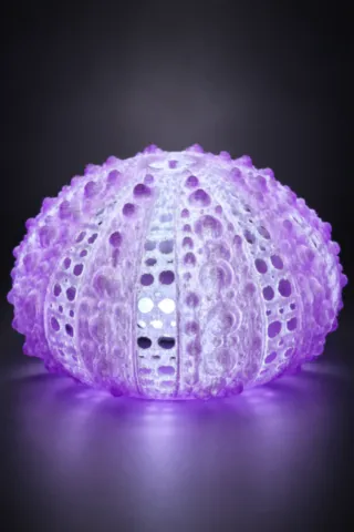 Lampe d’ambiance Oursin 3D Fabbrica Corsa, vue de face lampe-ambiance-oursin-3d-fabbrica-corsa-face.webp