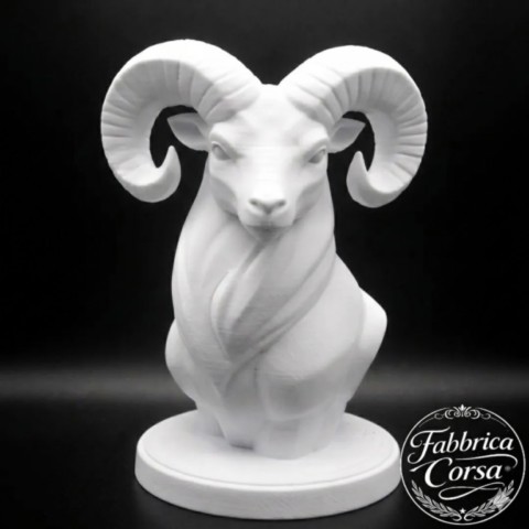 Buste U Muvrone inspiré du mouflon corse, vue de face buste-mouflon-corse-u-muvrone-face.jpg