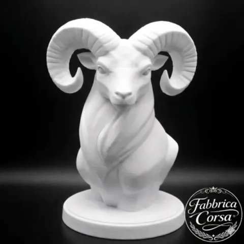 buste-mouflon-corse-u-muvrone-face.webp
