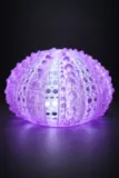 lampe-ambiance-oursin-3d-fabbrica-corsa-droite.webp