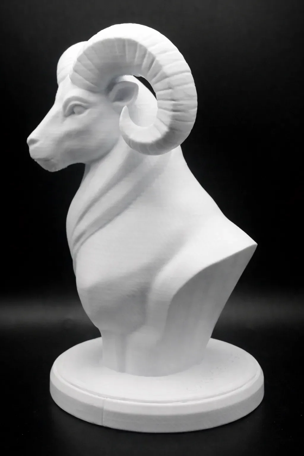 buste-mouflon-corse-u-muvrone-profil-gauche
