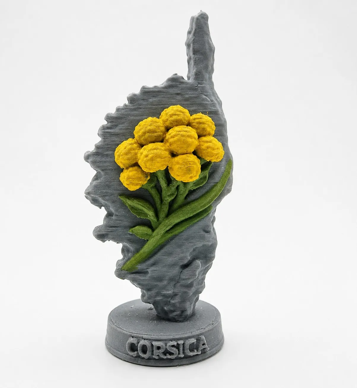 Corse immortelle. Figurine corse 3D en PLA.