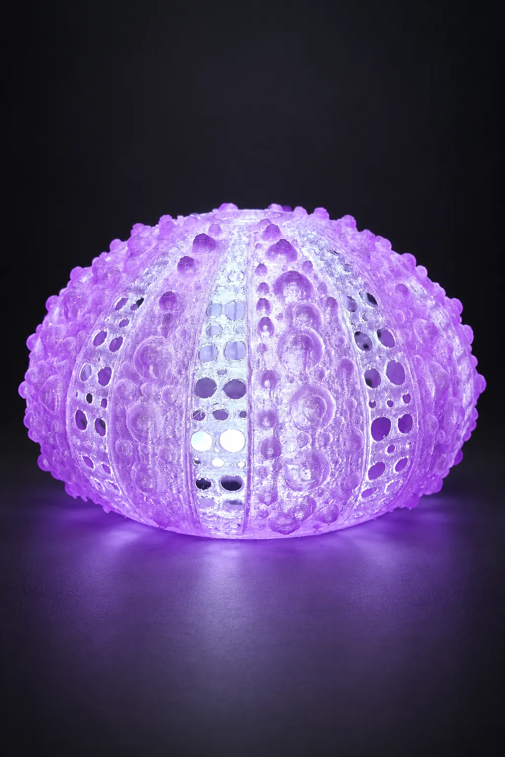 lampe-ambiance-oursin-3d-fabbrica-corsa-gauche