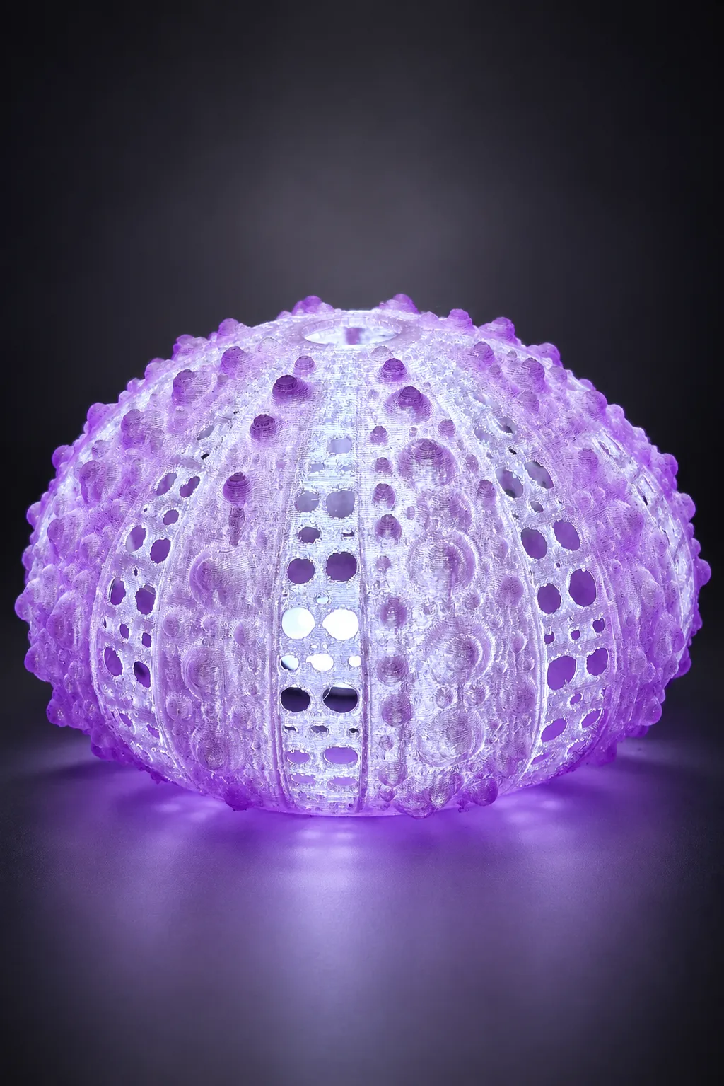 Lampe d’ambiance Oursin 3D – Fabriquée à Corte en Corse