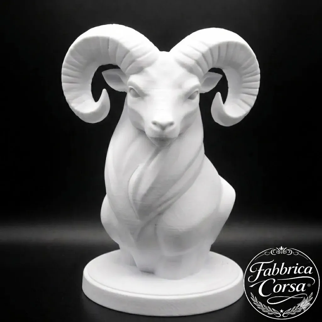 buste-mouflon-corse-u-muvrone-face